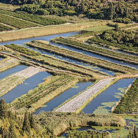 Three-bedroom In Appartement